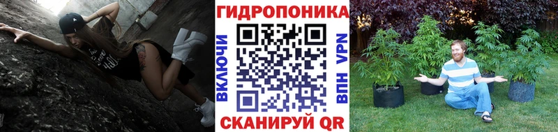 Бошки марихуана семена Березники